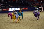 Quadrille - 00437